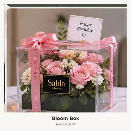 Bloom Box Qbig Bsd
